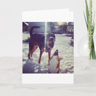 コーギ最高のフレンド誕生日カード カード