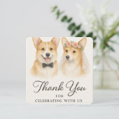 コーギ水の色結婚は有難う (スタンド正面)