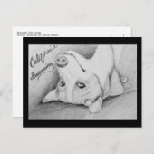 コーギ湾 ポストカード (正面/裏面)