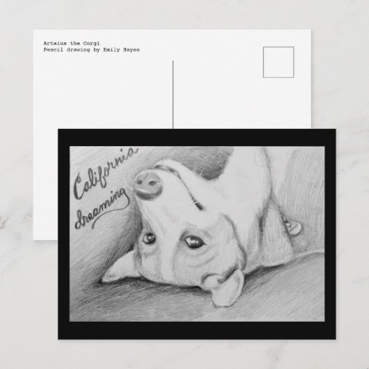 コーギ湾 ポストカード (正面/裏面)