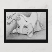 コーギ湾 ポストカード (正面)