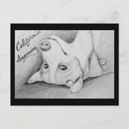 コーギ湾 ポストカード (正面)