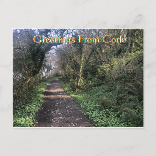 コーク・アイルランド葉書 ポストカード (正面)
