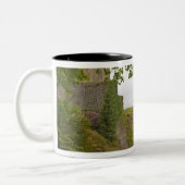 コーク、アイルランド。悪名高いブラーニー城2 ツートーンマグカップ (左)