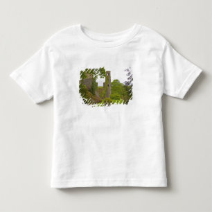 コーク、アイルランド。悪名高いブラーニー城 2 トドラーTシャツ