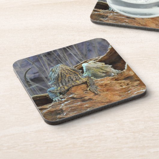 コーク・コースターと2つの好奇心のあるトカゲ コースター (左側)