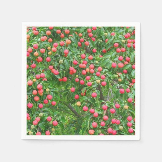 コーサドグウッドベリー スタンダードカクテルナプキン (正面)