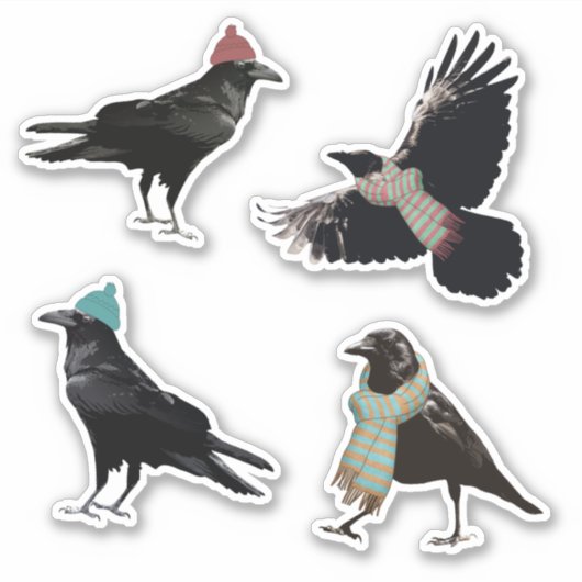 コージーウィンタークロウお洒落ハット&スカーフハイゲバード シール (正面)