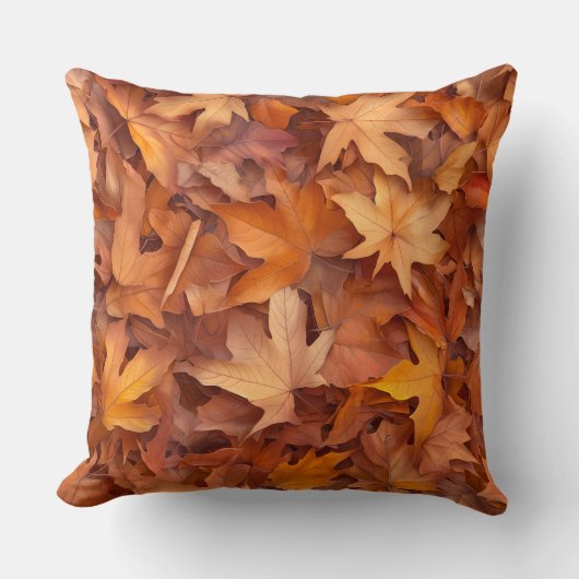 コージーカスタム装飾用クッション20x20ソファデコール クッション (正面)