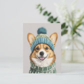 コージーコルギインウィンターギア ポストカード (スタンド正面)