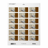 コージーコーナーバイカールラルソン ラベル (フルシート)