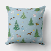 コージーパステルブルー クッション (正面)