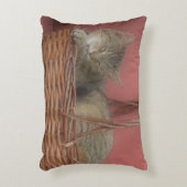 コージー子猫枕 アクセントクッション (正面(垂直))