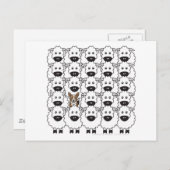 コージ・イン・ザ・シープ ポストカード (正面/裏面)