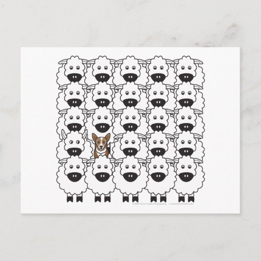 コージ・イン・ザ・シープ ポストカード (正面)