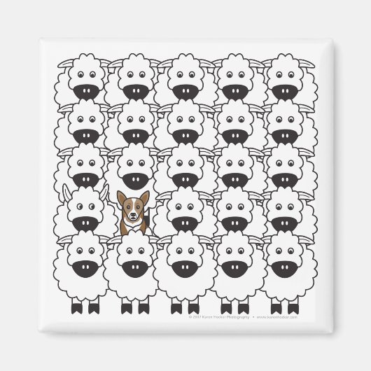 コージ・イン・ザ・シープ マグネット (正面)