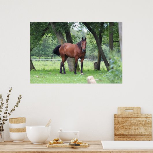 コースの馬 – 0037 ポスター (キッチン)