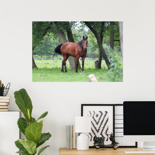 コースの馬 – 0037 ポスター (ホームオフィス)