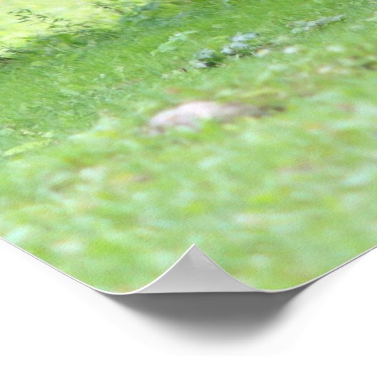 コースの馬 – 0037 ポスター (角)