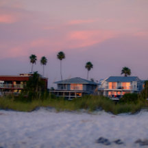 コースタルグロー