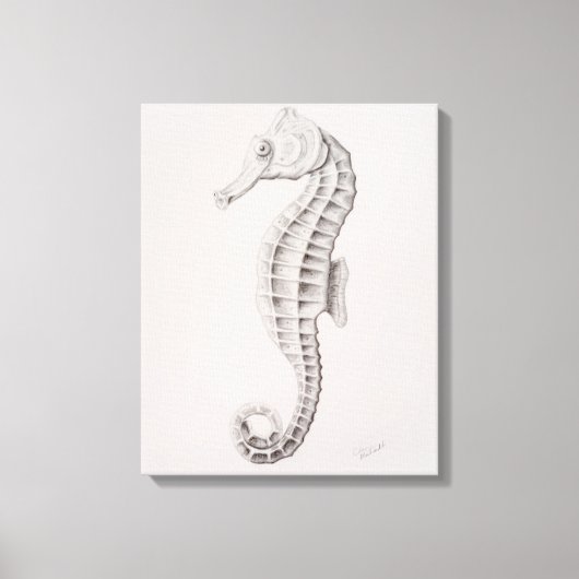 コースタルシーホーススケッチ キャンバスプリント (正面)