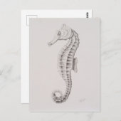 コースタルシーホーススケッチ ポストカード (正面/裏面)