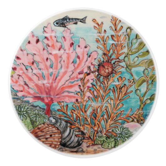 コースタルシーライフコーラルカニシェル水中海 セラミックノブ (正面)