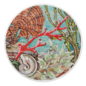 コースタルシーライフコーラルカニシェル水中海 セラミックノブ (正面)