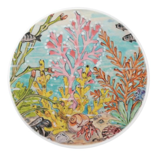 コースタルシーライフシェルミットカニシェルコーラル海 セラミックノブ (正面)