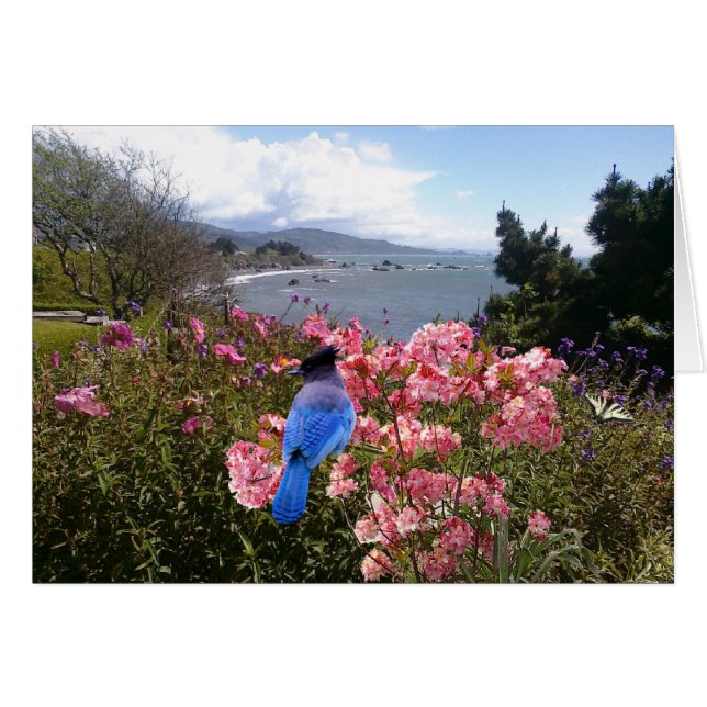 コースタルジェイ (正面横)