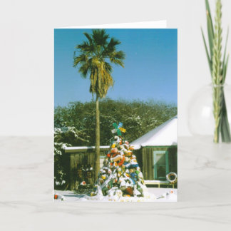 コースタルツリーカード シーズンカード