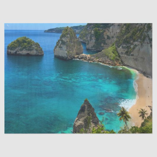 コースタルトロピカルアイランドパラダイスビーチ 薄葉紙 (正面)