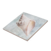 コースタルブルーとピーチクリームシ動揺してェル タイル (側面)