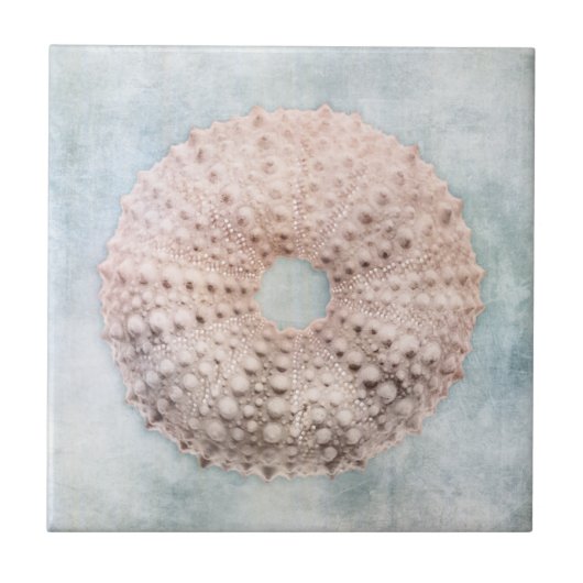 コースタルブルーとピーチクリー動揺してムビーチシー タイル (正面)