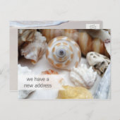 コースタルリビング新しいアドレスポストカード 案内ポストカード (正面/裏面)