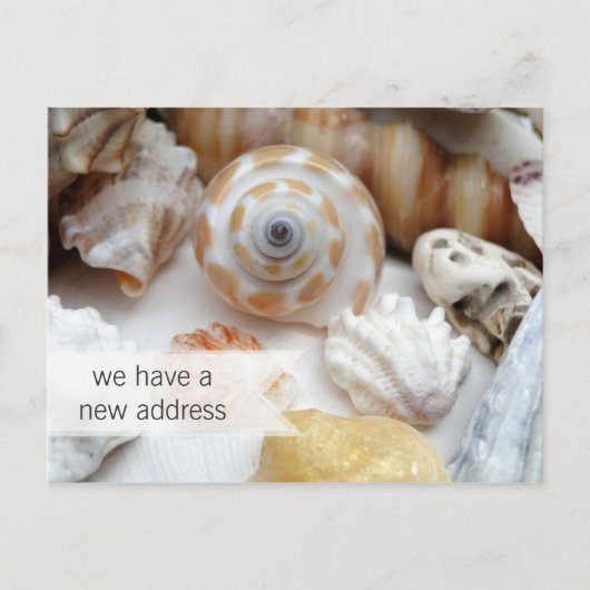コースタルリビング新しいアドレスポストカード 案内ポストカード (正面)