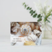 コースタルリビング新しいアドレスポストカード 案内ポストカード (スタンド正面)