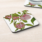 コースターで新芽を出す牡丹 コースター (左側)