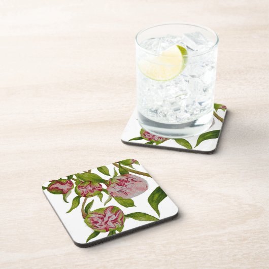 コースターで新芽を出す牡丹 コースター (右側)