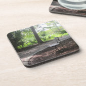 コースターのパス写真のベンチ。 コースター (左側)