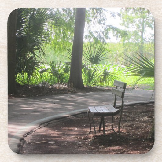 コースターのパス写真のベンチ。 コースター (正面)