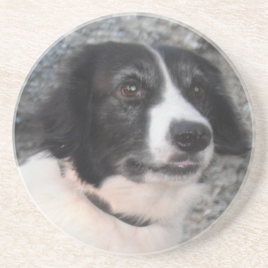 コースターの笑顔 コースター (正面)