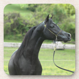 コースターの黒のアラビア人 コースター