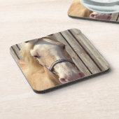 コースターのPalominoの子馬セット コースター (左側)