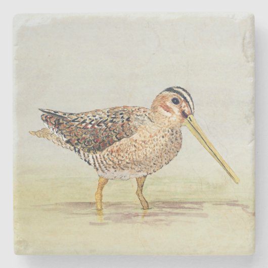 コースターをタシギ ストーンコースター (正面)