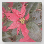 コースターストーン – パスカ ストーンコースター (正面)