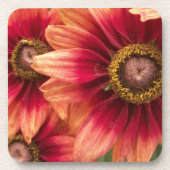 コースターセット秋花 コースター (正面)