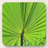 コースターセット – グリーンパームリーフ コースター (正面)