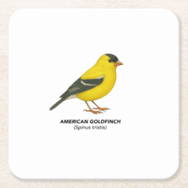 コースターセット スクエアペーパーコースター