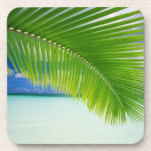 コースターセット – トロピックス コースター (正面)